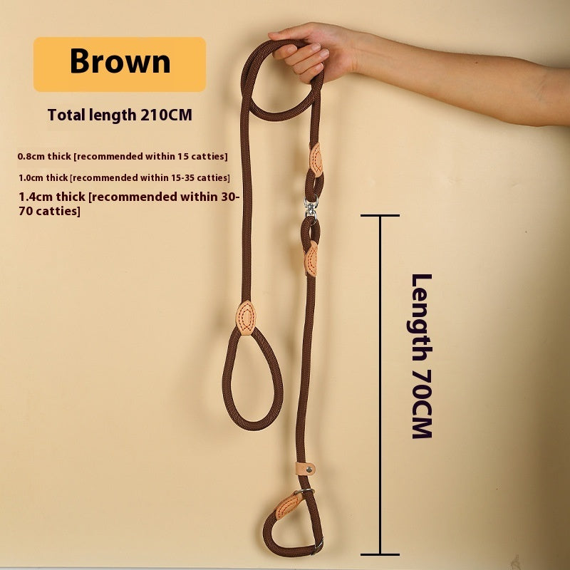 The Ultimate Dog Leash for Adventurous Owners